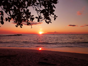 Sunset on beach at Tree Tops B&B
