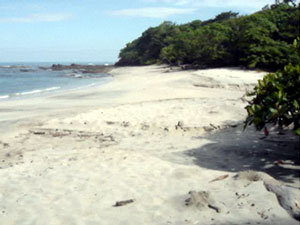 White sand beach just 50 yards from your room